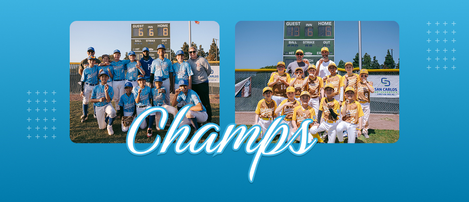 Congratulations to All 2026 BRSLL Division Champions!